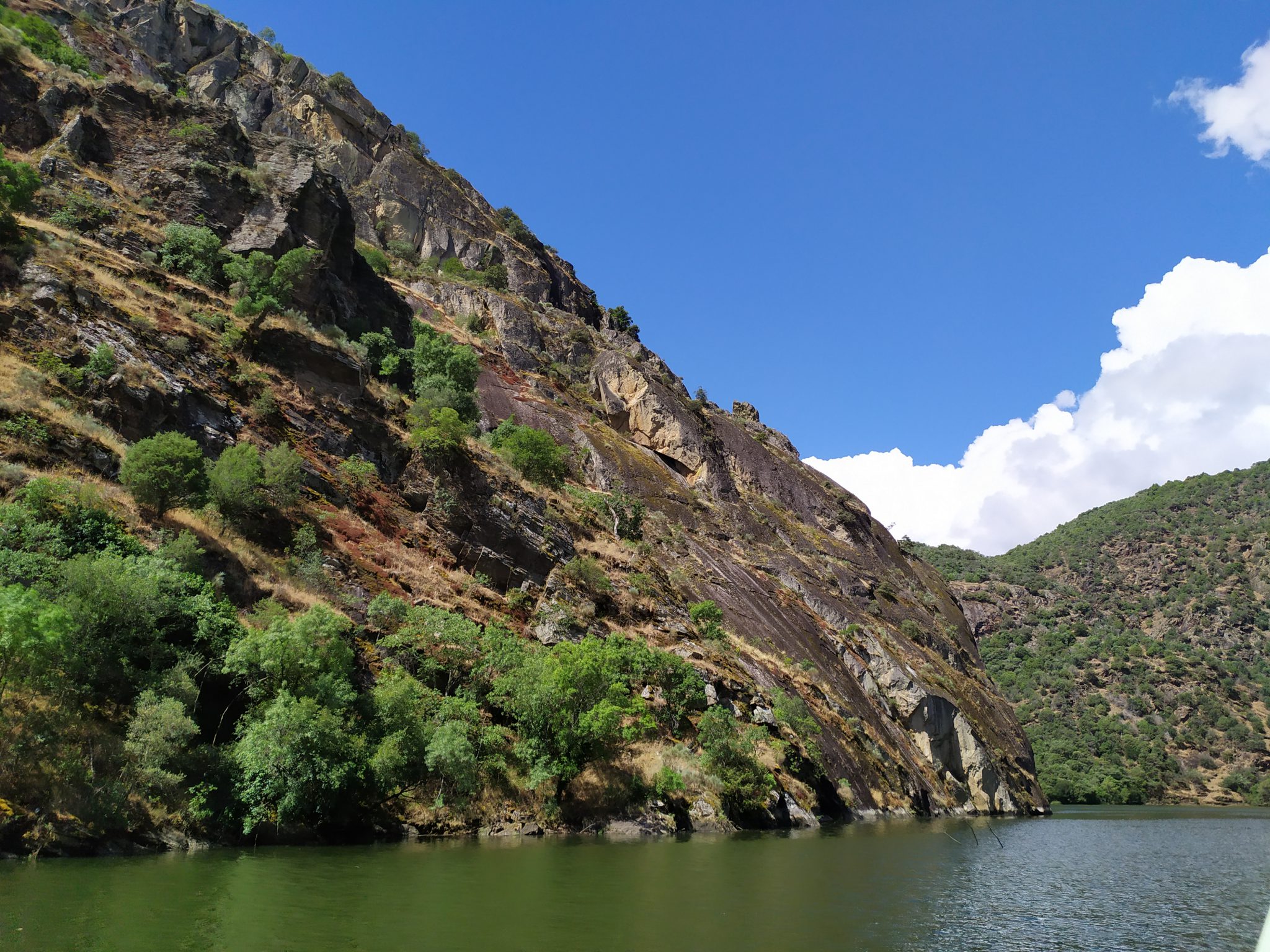 EXCURSIÓN MEDIOAMBIENTAL